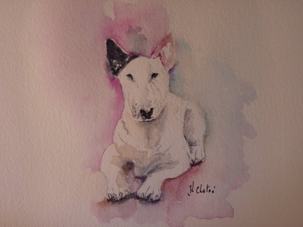 Bull Terrier