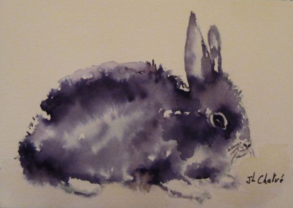 Petit lapin noir