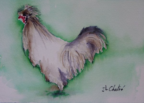 Poulette blanche