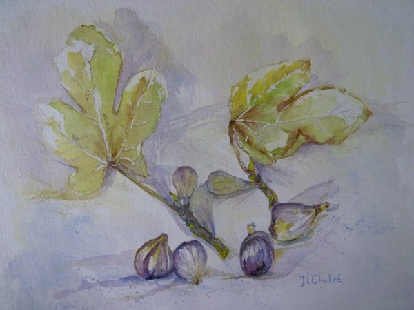 Figues