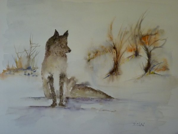 Renard en hiver