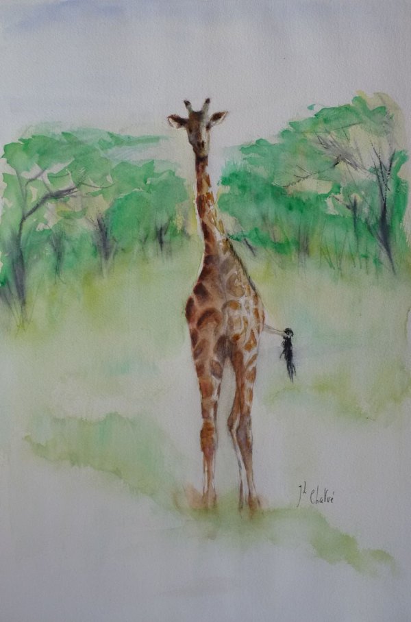 Une girafe en Tanzanie