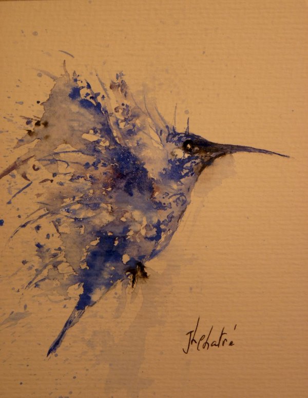 Colibri