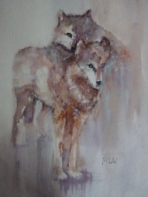 Deux loups