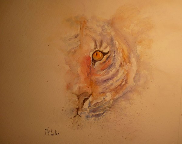 L'oeil du tigre