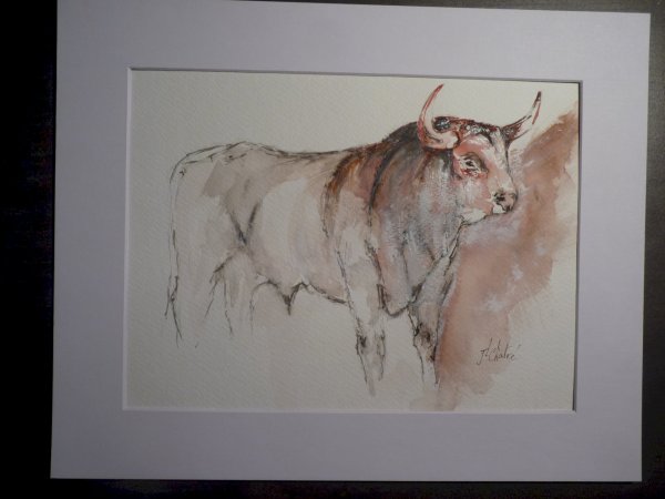 Taureau aquarellé