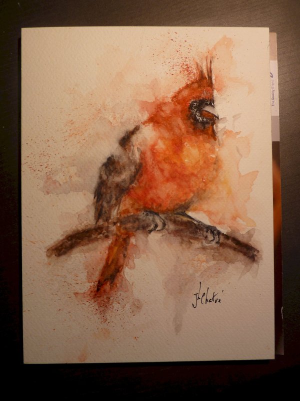 Cardinal du Canada