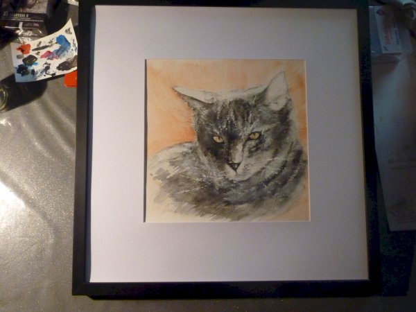 Chat Christine copie