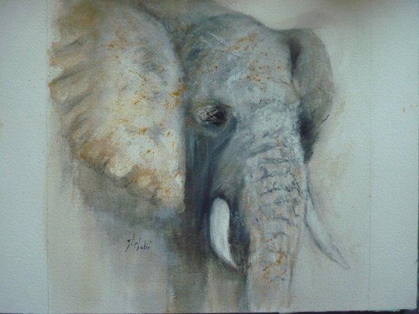 Elephante du Tarangire