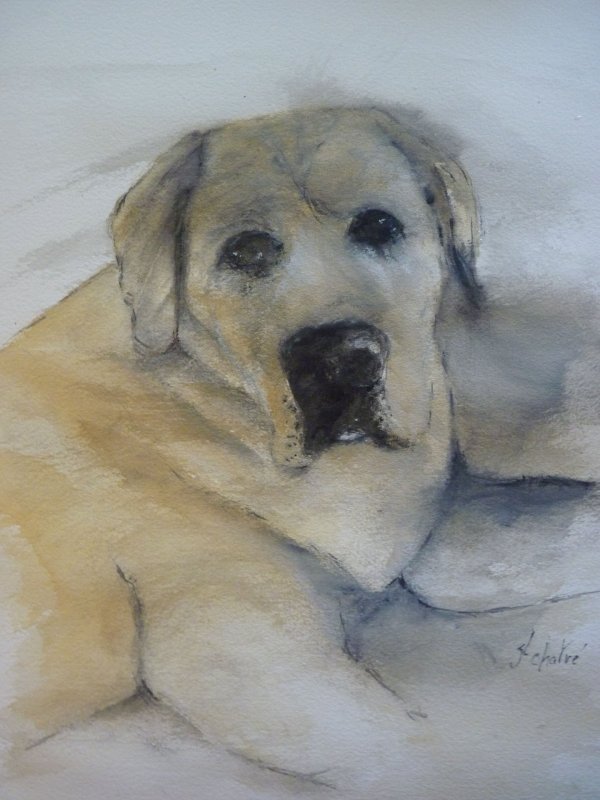 Archibald