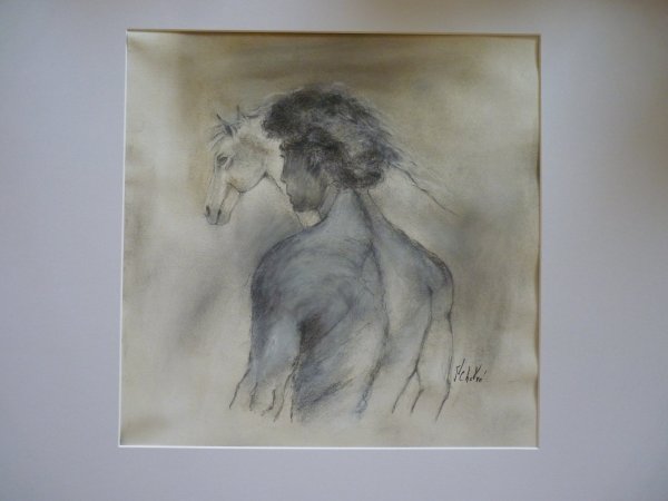 Cheval et dresseur