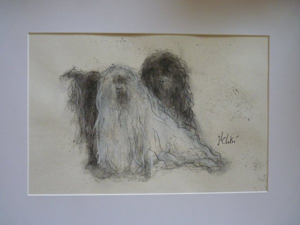 Poilus et frisés