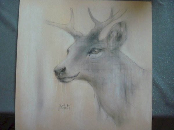 Biche à la craie